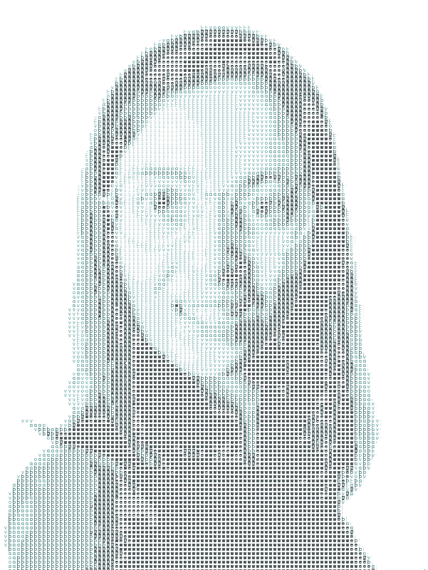 Fabiola's portrait in ASCII characters.